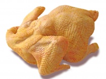 Курица домашняя