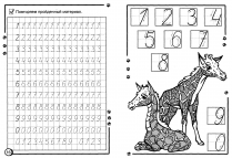 Прописи " Учимся писать"
