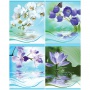 Тетрадь в клетку 48л Flowers Water/ Road